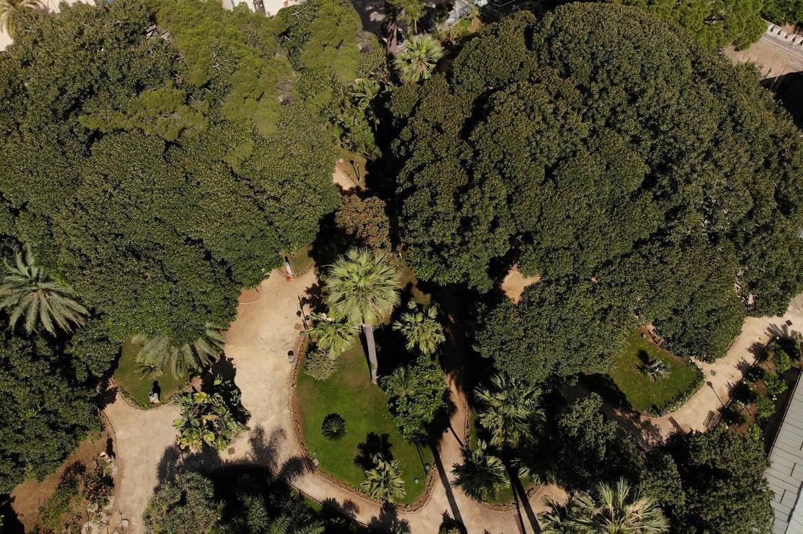 Immagine della scheda I Giardini Reali