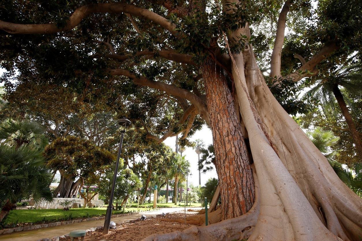 Immagine della scheda I Giardini Reali